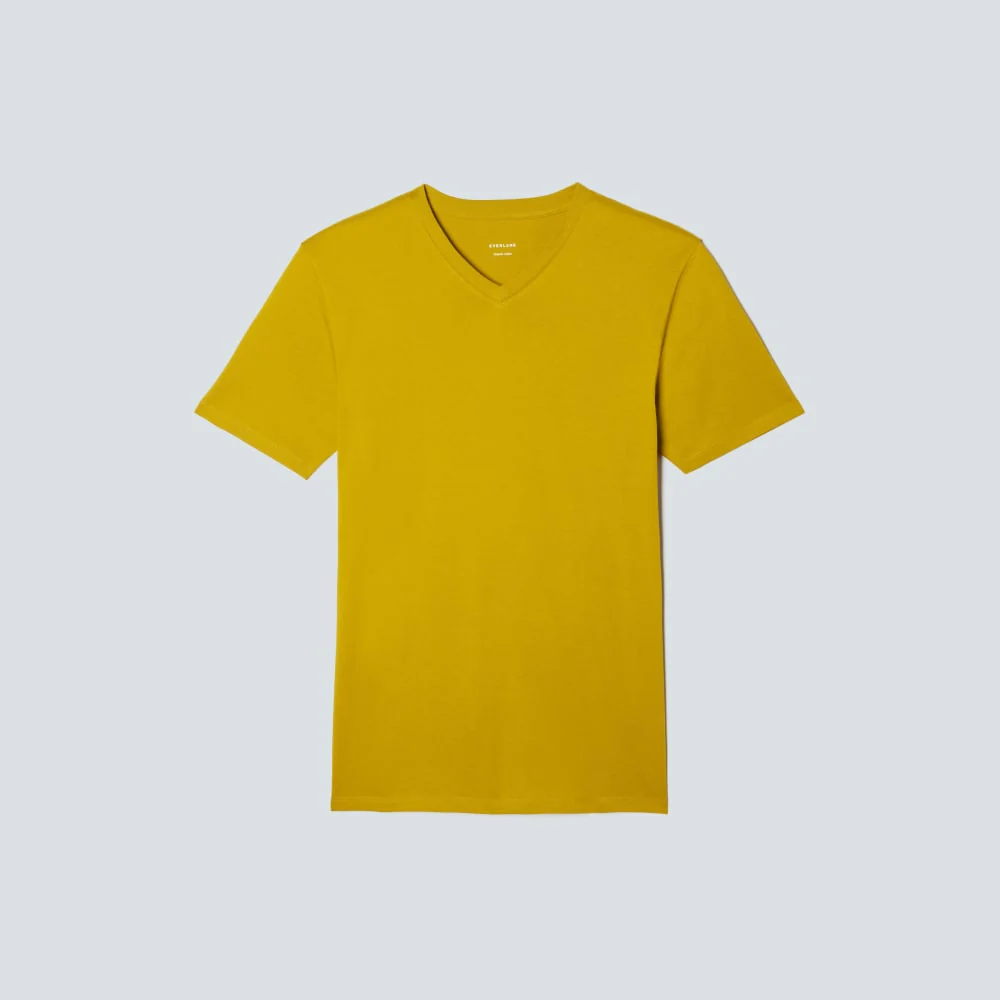 The Organic Cotton V-Neck Tee | Golden Palm - Image 2
