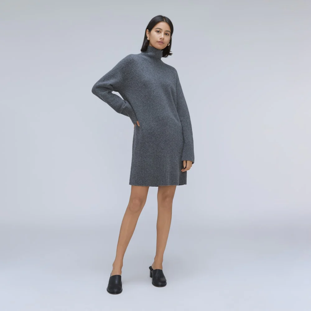 The Cozy Stretch Turtleneck Dress | Marin - Image 6
