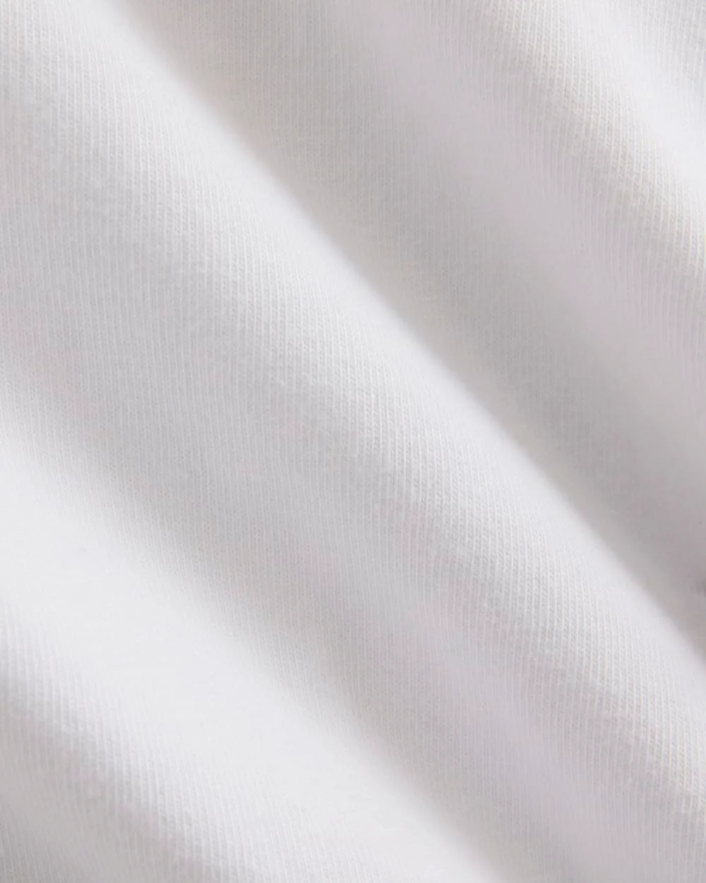 Everlane x Elena Bonvicini 73 Tee | Whitecap - Image 7