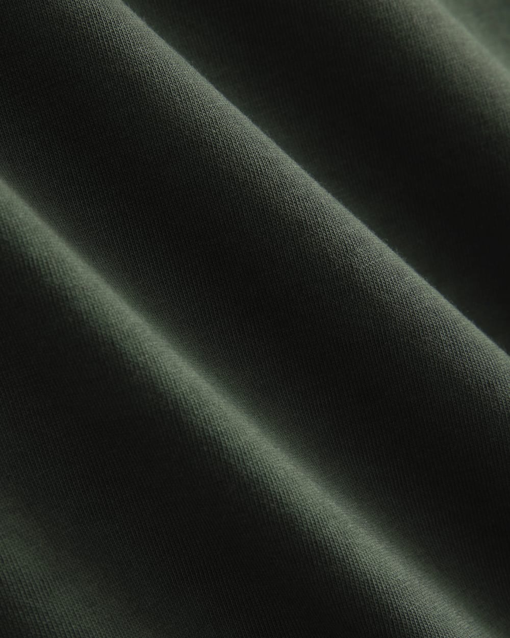 Everlane x Peace & Quiet Graphic Logo Tee | Pine - Image 6